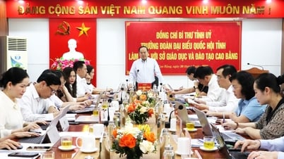 Tập trung triển khai quyết liệt xây dựng trường học vùng biên