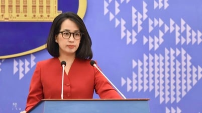 Việt Nam phản đối thông tin xuyên tạc về tìm kiếm quân nhân Mỹ mất tích trong chiến tranh