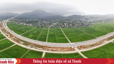 Lập 10 đoàn đi giải đáp khó khăn tại các địa phương về nông nghiệp môi trường