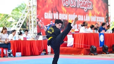 More than 700 martial artists compete at the 34th National Traditional Martial Arts Championship in Gia Lai