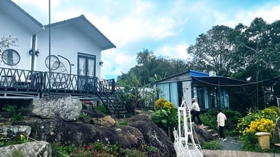 Làm kinh tế trên núi