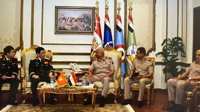 Việt Nam và Ai Cập thúc đẩy hợp tác quốc phòng