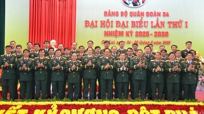 Xây dựng Quân đoàn cách mạng, chính quy, tinh...