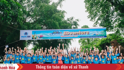 Mùa hè trưởng thành cùng Ocean Edu: Hành trình học tập, khám phá và lớn khôn mỗi ngày