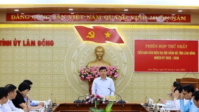 Tiểu ban Văn kiện Đại hội Đảng bộ tỉnh Lâm Đồng, nhiệm kỳ 2025 – 2030 họp phiên thứ nhất