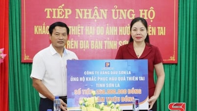 Sơn La tiếp nhận trên 16 tỷ đồng ủng hộ khắc phục hậu quả thiên tai