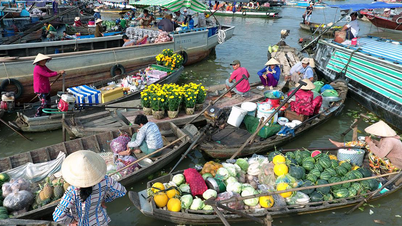 Kinh nghiệm du lịch Chợ nổi Cái Răng những ngày cận Tết