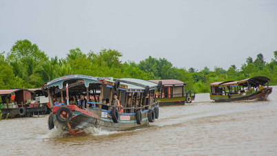 Trải nghiệm du lịch sinh thái Vĩnh Long – Chạm vào hơi thở miệt vườn đậm đà bản sắc