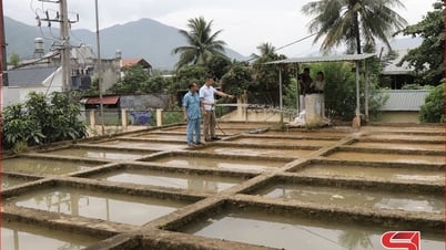Nỗ lực cấp nước sạch phục vụ nhân dân sau lũ
