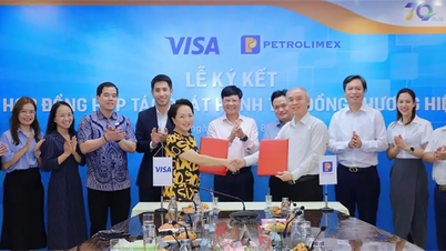 Petrolimex hợp tác cùng VISA mở rộng giải pháp thanh toán số với Thẻ đồng thương hiệu dành cho cá nhân và doanh nghiệp