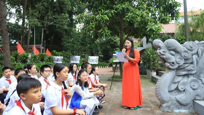 Sâu rễ, bền gốc