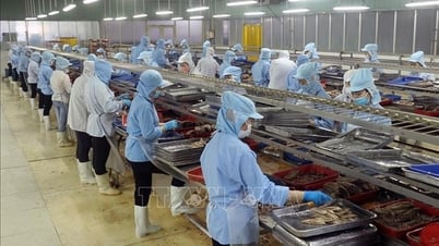 Thuế đối ứng 20%: Sẽ không tạo ra tác động đến dịch chuyển đầu tư