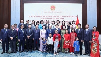 President meets with Embassy staff and Vietnamese community in Egypt