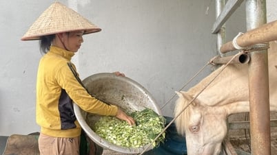 “Đòn bẩy” để Thống Nhất vươn lên