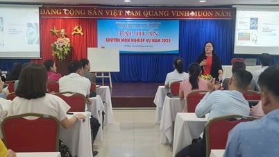 Da Nang promeut l'application de la transformation numérique pour le secteur des bibliothèques