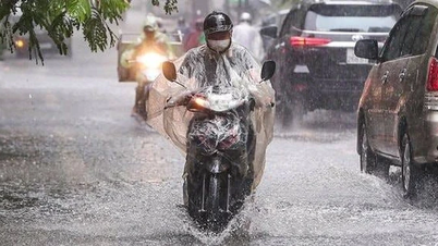 Cảnh báo mưa dông trên địa bàn tỉnh Phú Thọ