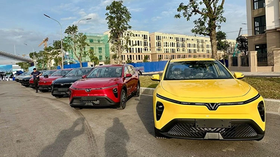 Cận cảnh VinFast Limo Green giá 749 triệu tại Việt Nam