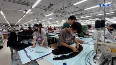 Quảng Ngãi thu ngân sách đạt 51% dự toán