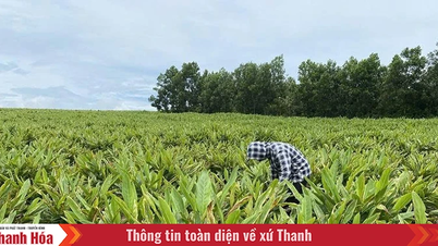 Lấy tiêu chí thu nhập làm “đòn bẩy” XDNTM nâng cao