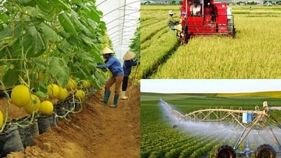 Bộ Nông nghiệp và Môi trường thành lập 10 đoàn công tác hỗ trợ giải quyết vướng mắc của địa phương
