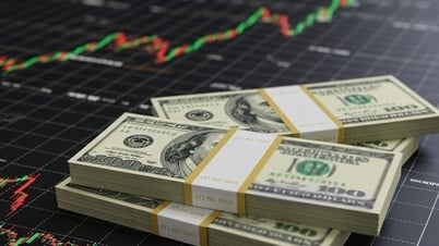 Tỷ giá USD hôm nay (5-8): Đồng USD phục hồi nhẹ