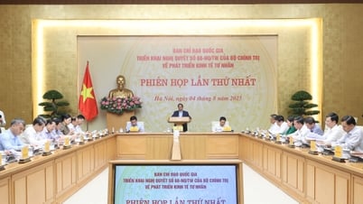 Tạo phong trào đưa kinh tế tư nhân thành động lực quan trọng nhất