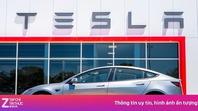 ហេតុអ្វីបានជា TSMC មិនចាំបាច់ព្រួយបារម្ភសូម្បីតែបន្ទាប់ពីបាត់បង់ Tesla