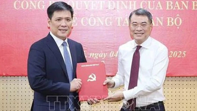 Ban Bí thư bổ nhiệm Phó trưởng Ban Tổ chức Trung ương