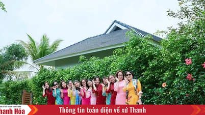 Dưỡng tâm giữa đất trời Lam Kinh linh thiêng