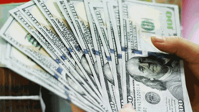 Ngày 5-8: Tỷ giá trung tâm VNĐ/USD giảm