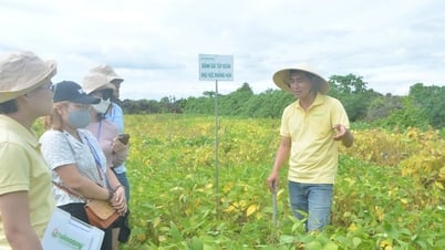 Nông nghiệp tích hợp bảo vệ môi trường