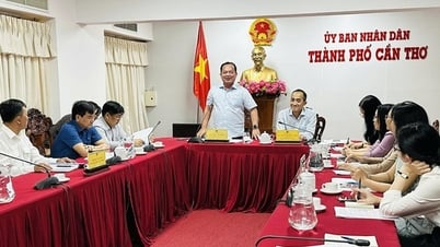 Cần Thơ đẩy mạnh hạ tầng, thu hút đầu tư, công nghiệp chế biến
