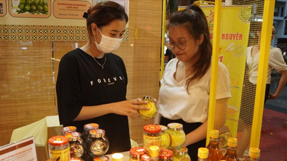 Doanh nghiệp Việt chuyển hướng để đi xa hơn khi xuất khẩu