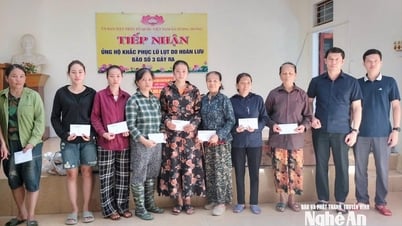 Văn phòng Đoàn ĐBQH và HĐND tỉnh trao quà hỗ trợ người dân vùng lũ Tương Dương