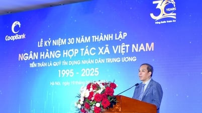 3 thập kỷ xây dựng Co-opBank vững mạnh, hướng đến mục tiêu dẫn dắt hệ thống
