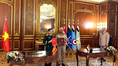 Ai Cập mong muốn tăng cường hợp tác quốc phòng với Việt Nam