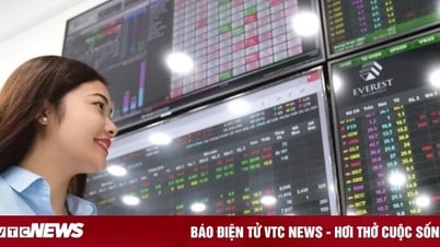 Chứng khoán liên tục đảo chiều, VN-Index đánh rơi mốc cao nhất lịch sử