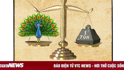 Trong 10 giây đố bạn tìm ra đáp án câu đố đuổi hình bắt chữ