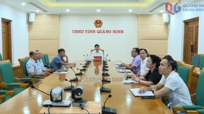 Tập huấn quy định pháp luật về phân quyền, phân cấp, phân định thẩm quyền trong lĩnh vực nông nghiệp và môi trường