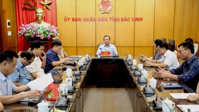 Hướng dẫn về phân cấp, phân quyền trong lĩnh vực nông nghiệp và môi trường
