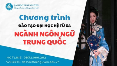 Chìa khoá mở cơ hội nghề nghiệp tiềm năng từ ngành Ngôn ngữ Trung Quốc