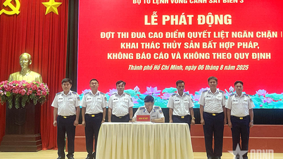 Vùng Cảnh sát biển 3 kiên quyết đấu tranh chống khai thác hải sản bất hợp pháp