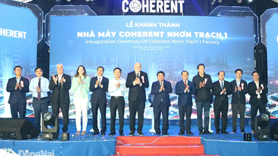Gia tăng thương mại và đầu tư Việt Nam - Hoa Kỳ