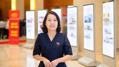 Trưởng Đoàn ĐBQH tỉnh Tuyên Quang Lý Thị Lan: Khơi nguồn tư duy đổi mới trong tiếp cận, tổ chức thực hiện giám sát