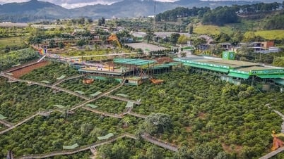 다랏에서 10만동짜리 커피값에 관광객들이 분노하고 있다.