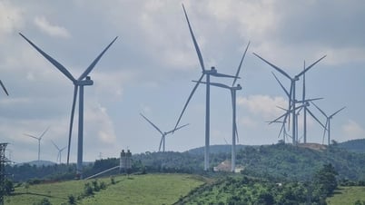 Quảng Trị: 21 dự án điện gió vận hành thương mại với tổng công suất 994,2MW