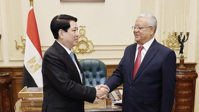 Egypt wants to welcome more Vietnamese to study at universities