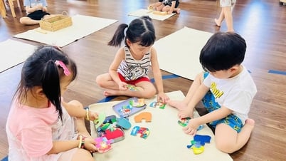 Stem nâng bước măng non