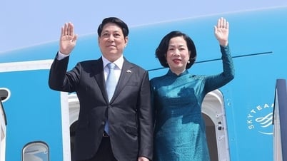 President Luong Cuong ends visit to Egypt, departs for Angola