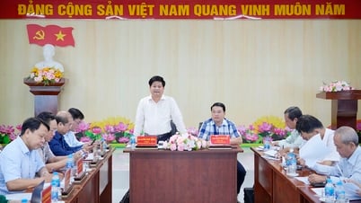 Building An Giang Province Newspaper and Radio - Television into a multimedia press agency